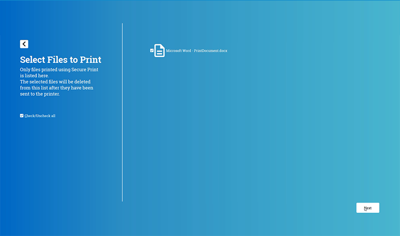 Protected print - User interface